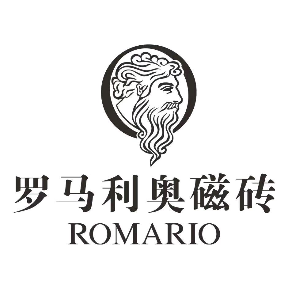 罗马利奥磁砖（东莞旗舰店）