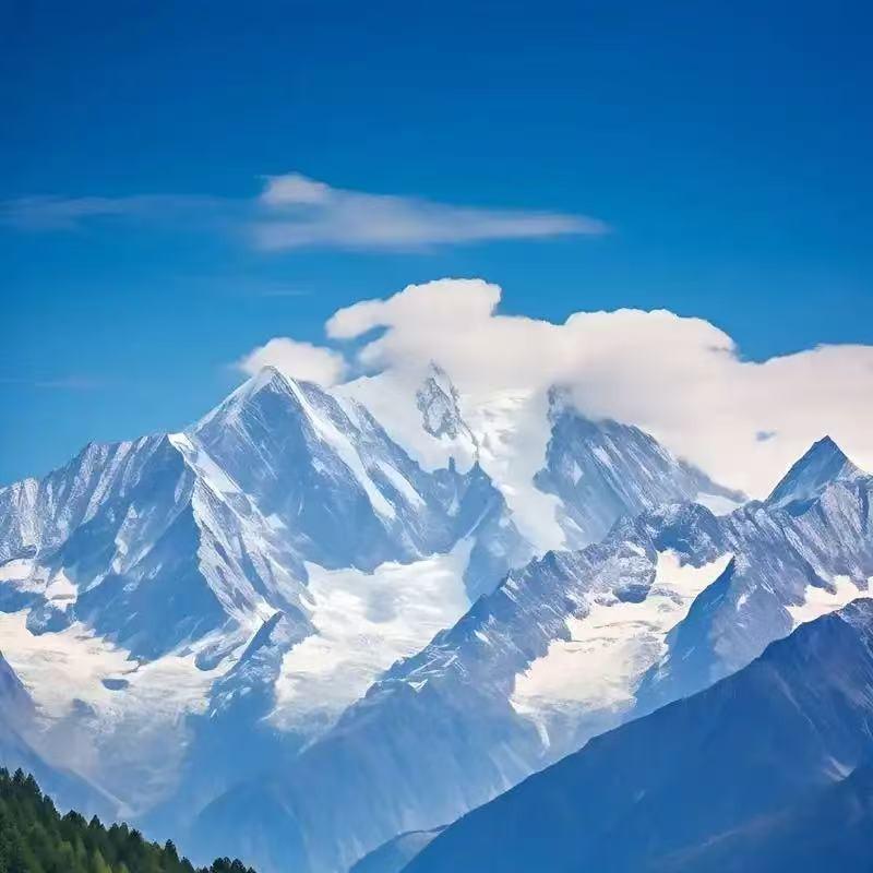 壁归-吴记纯酿官方号