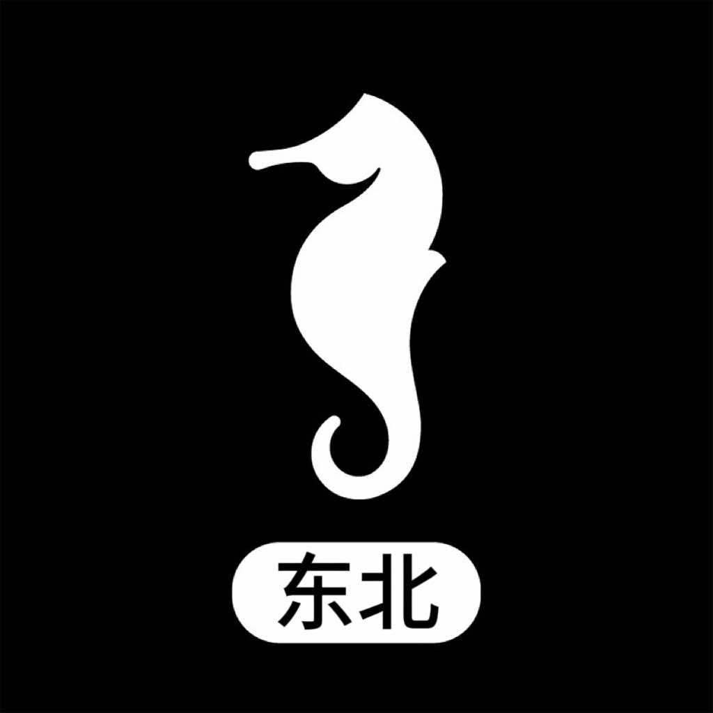 海马体照相馆｜东北