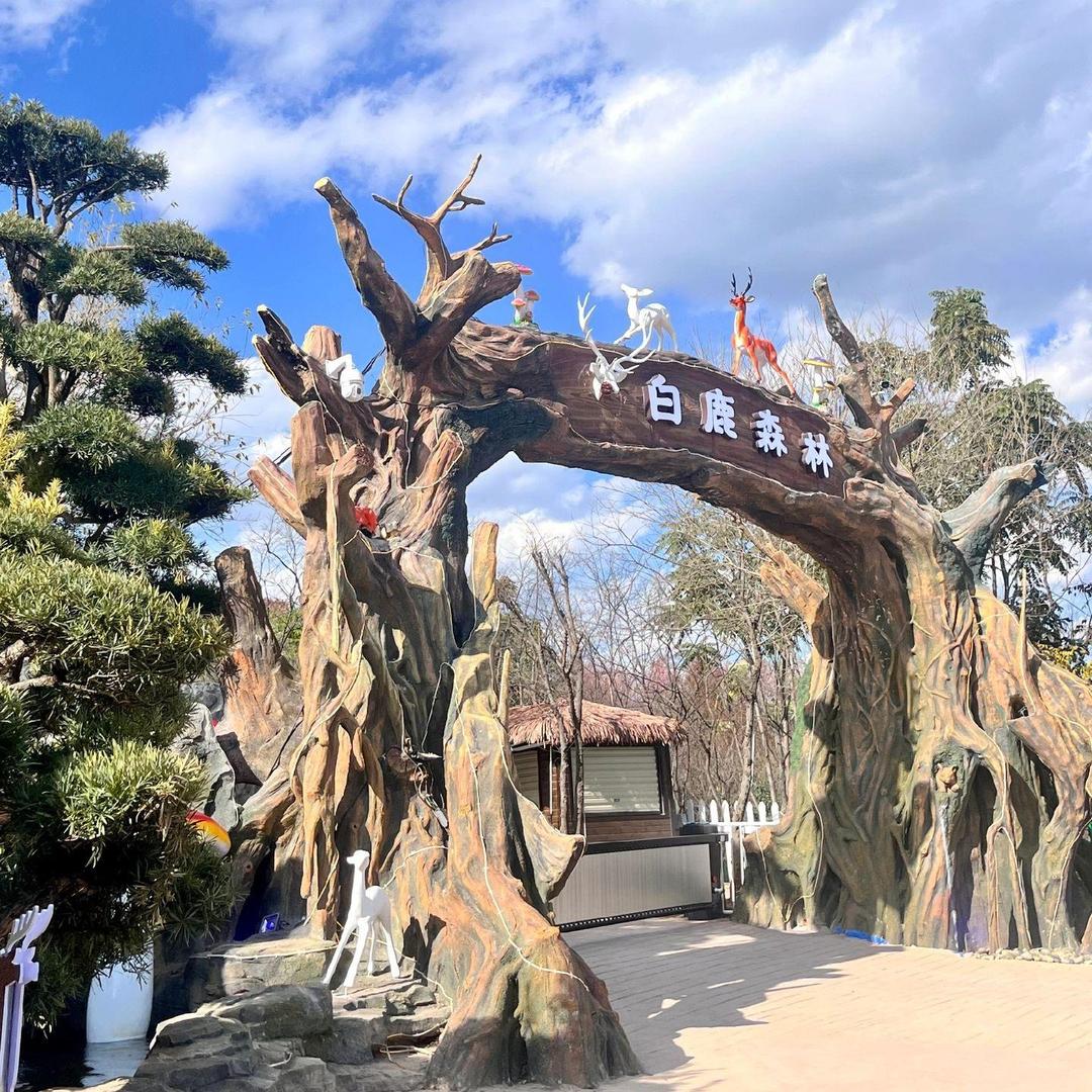 白鹿森林官方号