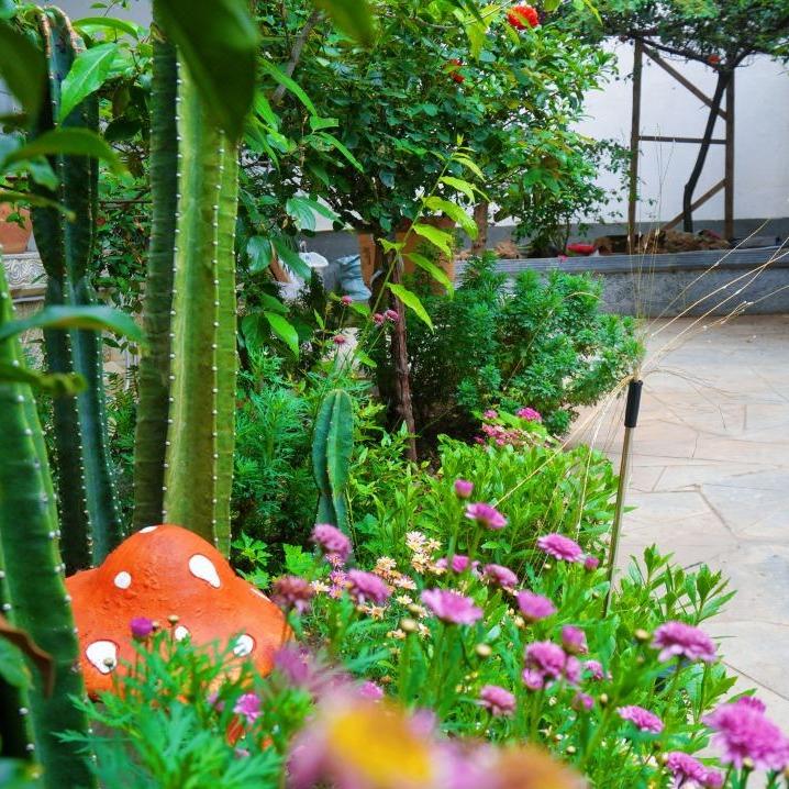 岚山听风·雪山观景民宿