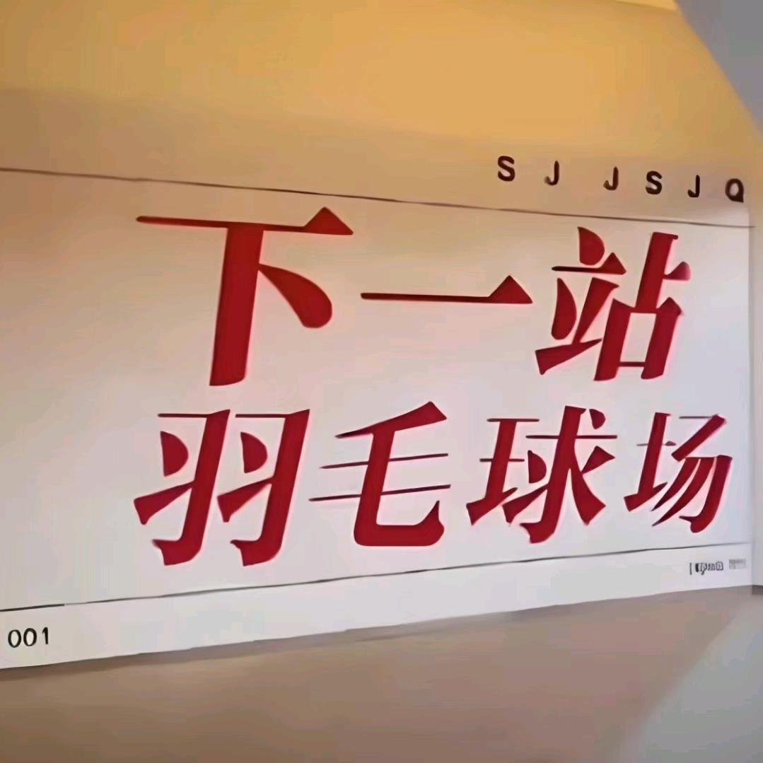 华年羽毛球