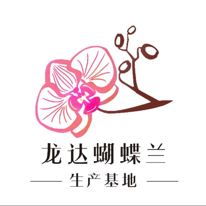 龙达蝴蝶兰生产基地