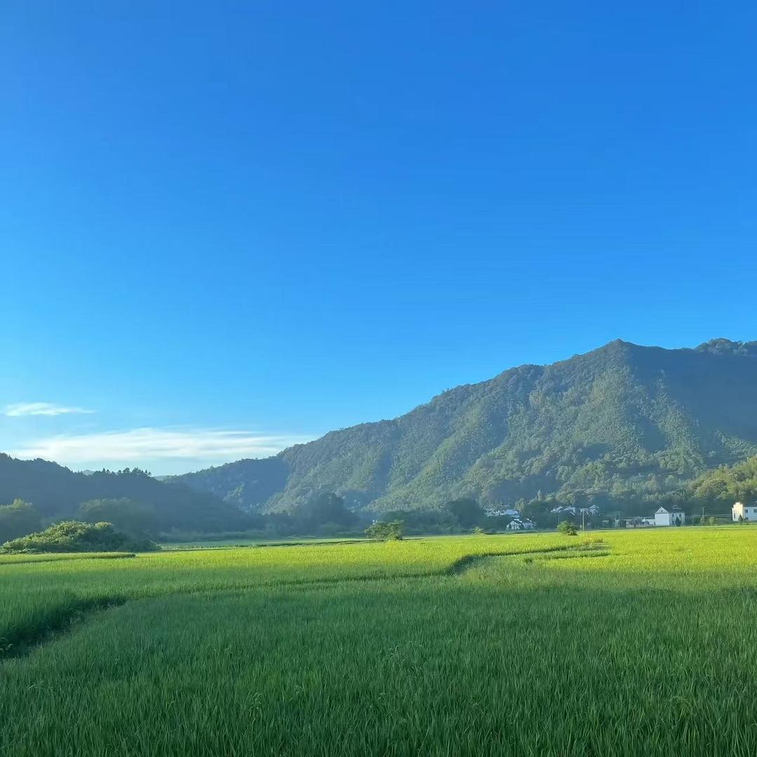 翠翠1富双华机械设备