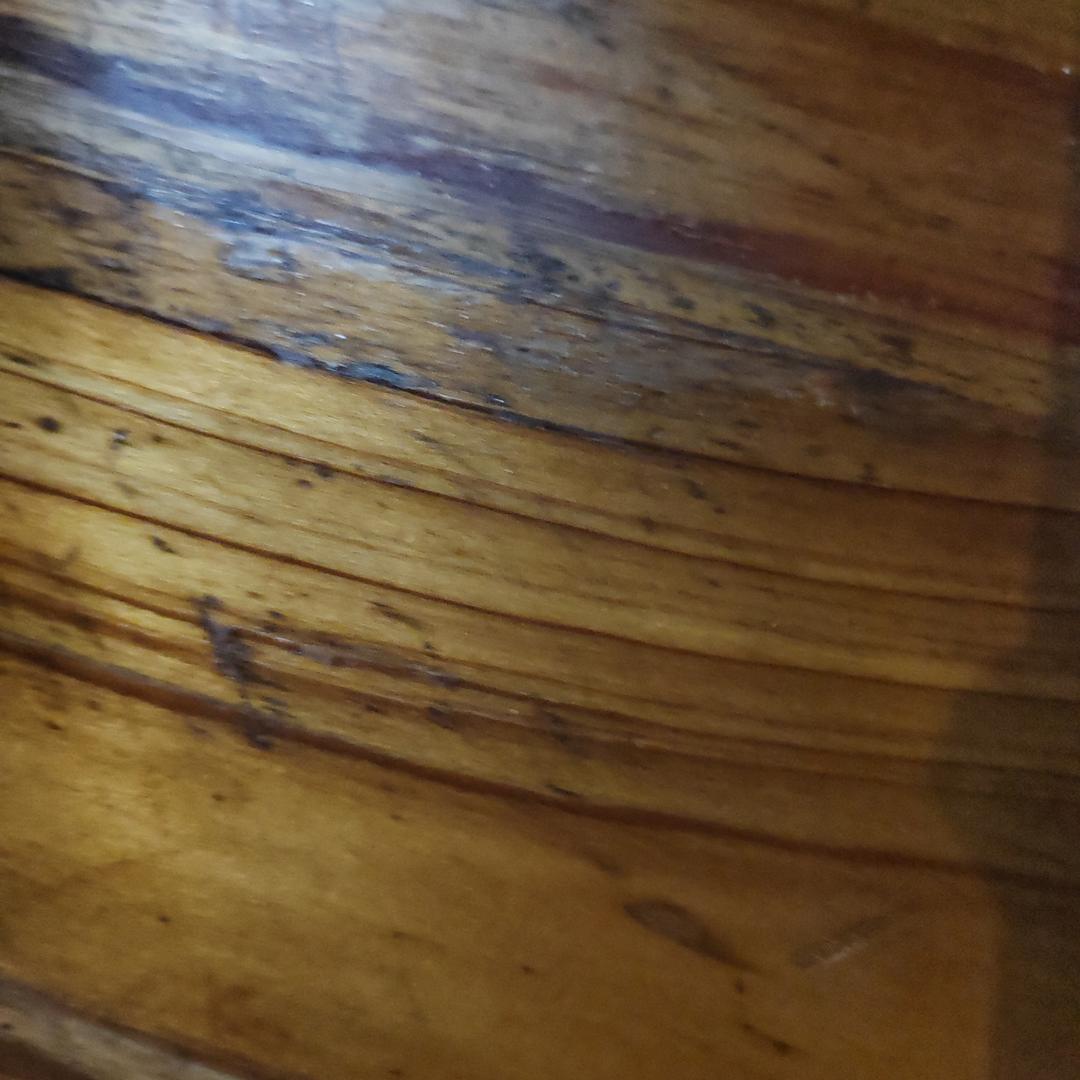 广州伟易建材有限公司GCD直播号