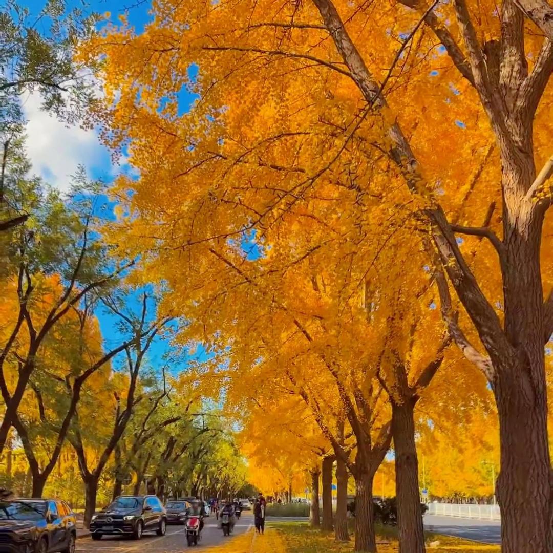 无锡北陆装饰工程有限公司