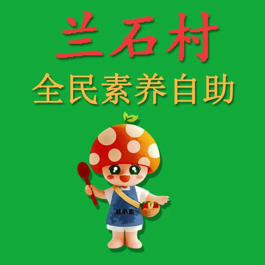 兰石村全民素养自助