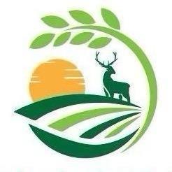 新鲜净品牌官方账号