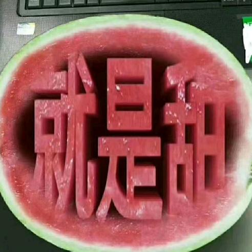 小张麒麟西瓜产地直销