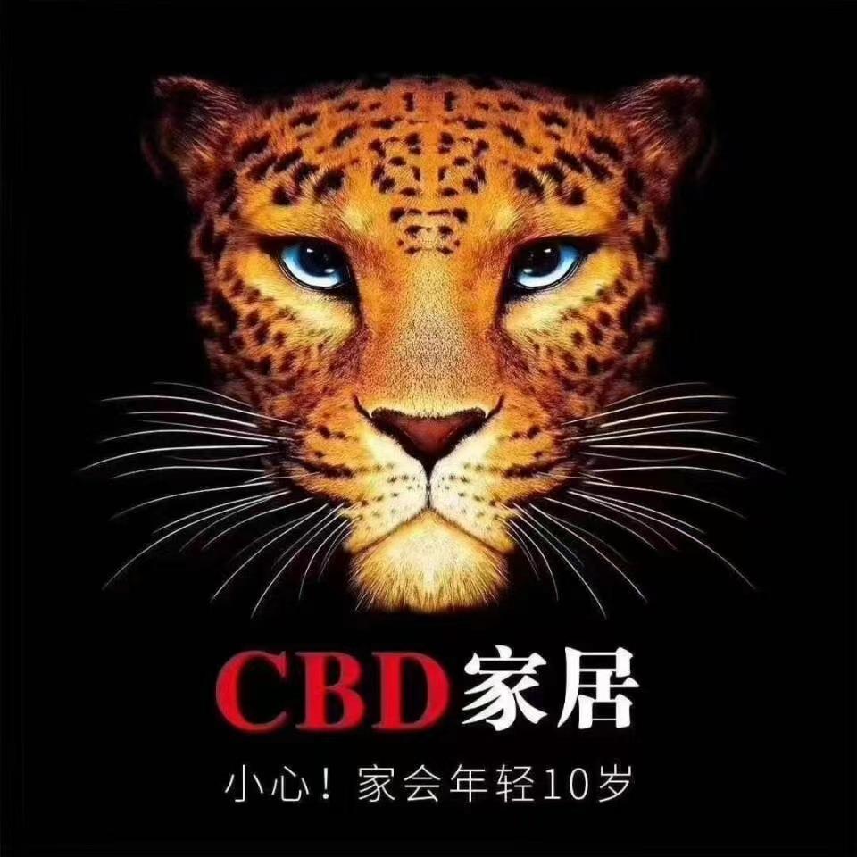 武义CBD家居