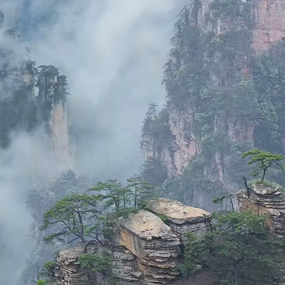 洲达 近水 官方1号