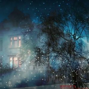 大小魔幻肆直播号