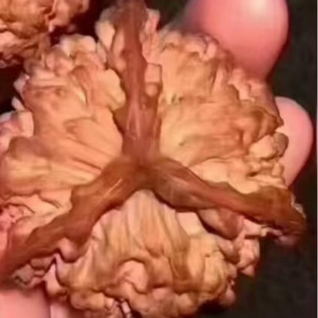 云龙县诺邓镇黄月光经营部核对号