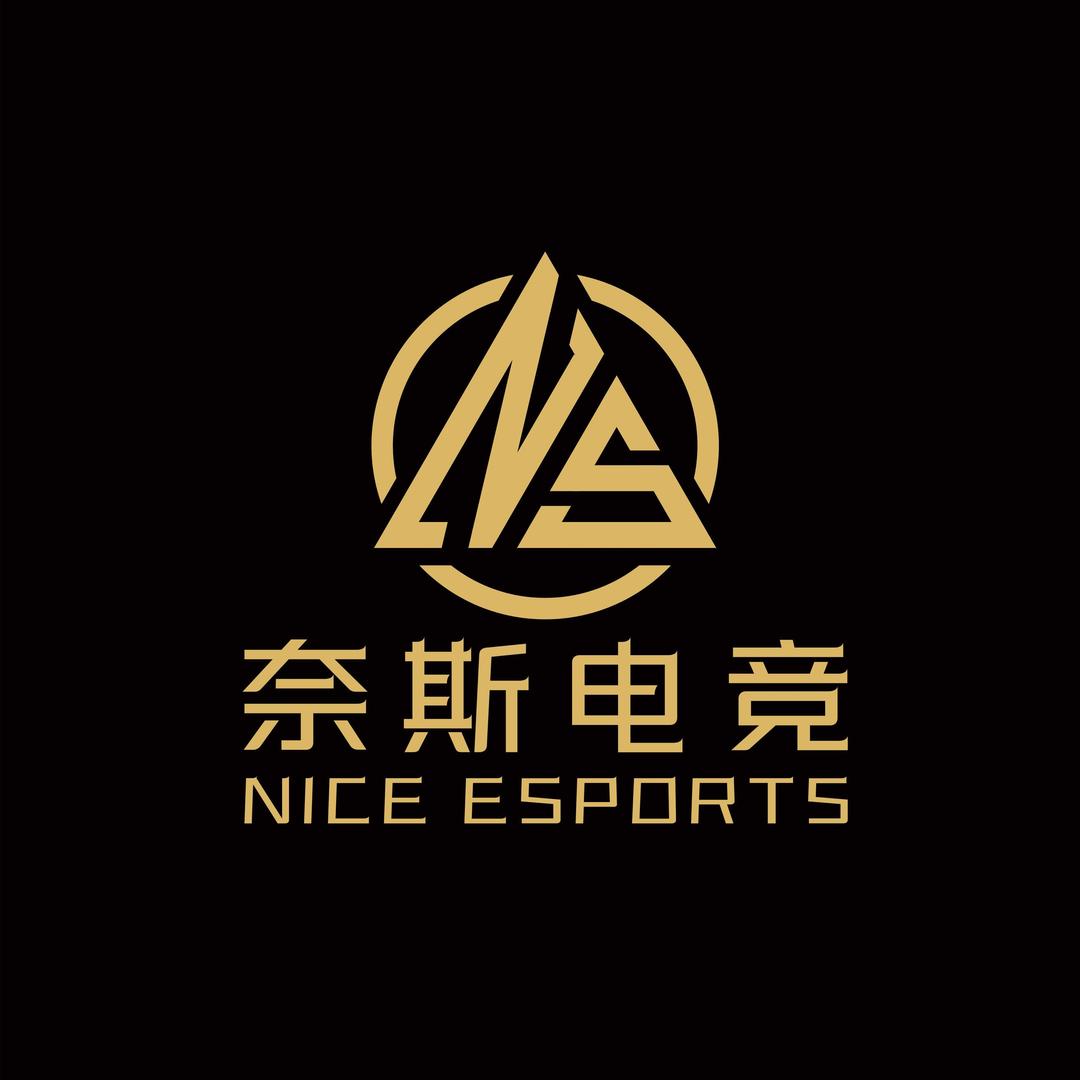 奈斯电竞（隆回人自己的网咖）