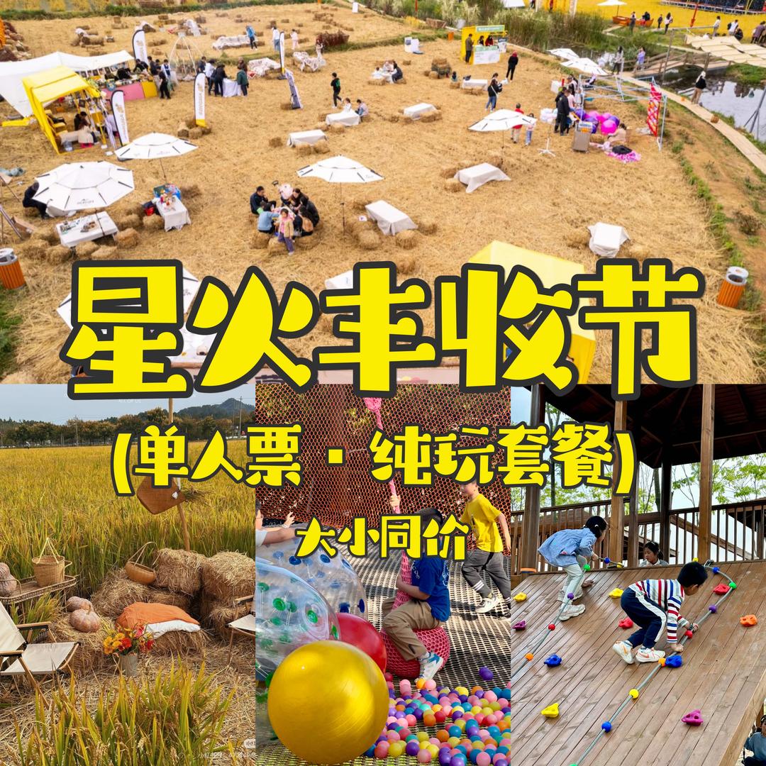 星火玫瑰露营圆圆