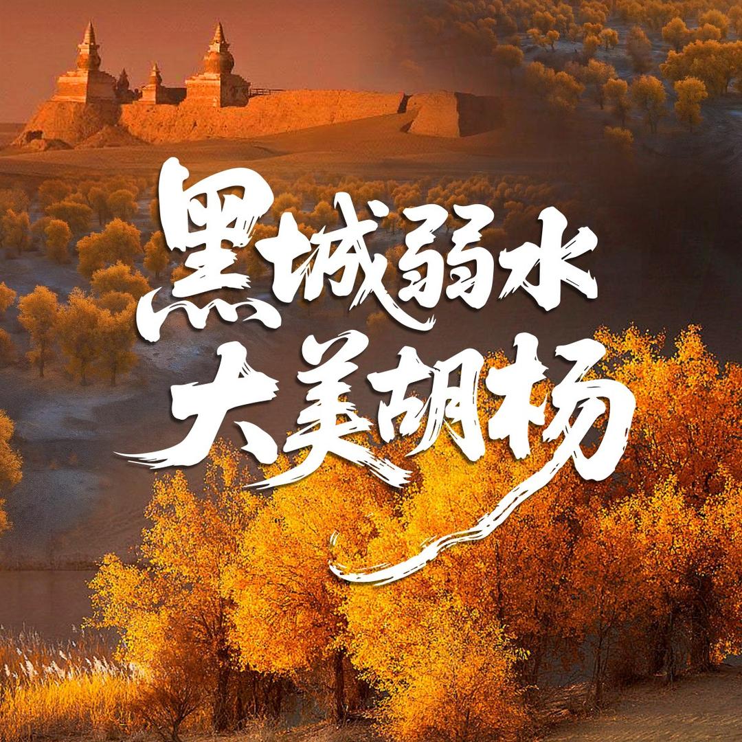 额济纳黑城怪树林丝路北线营地