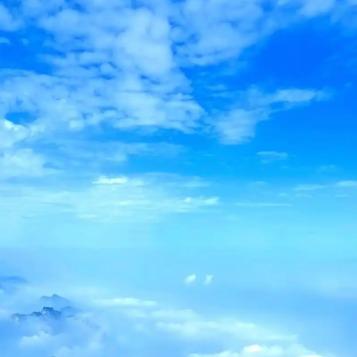 壹梵建材不吃饱直播号