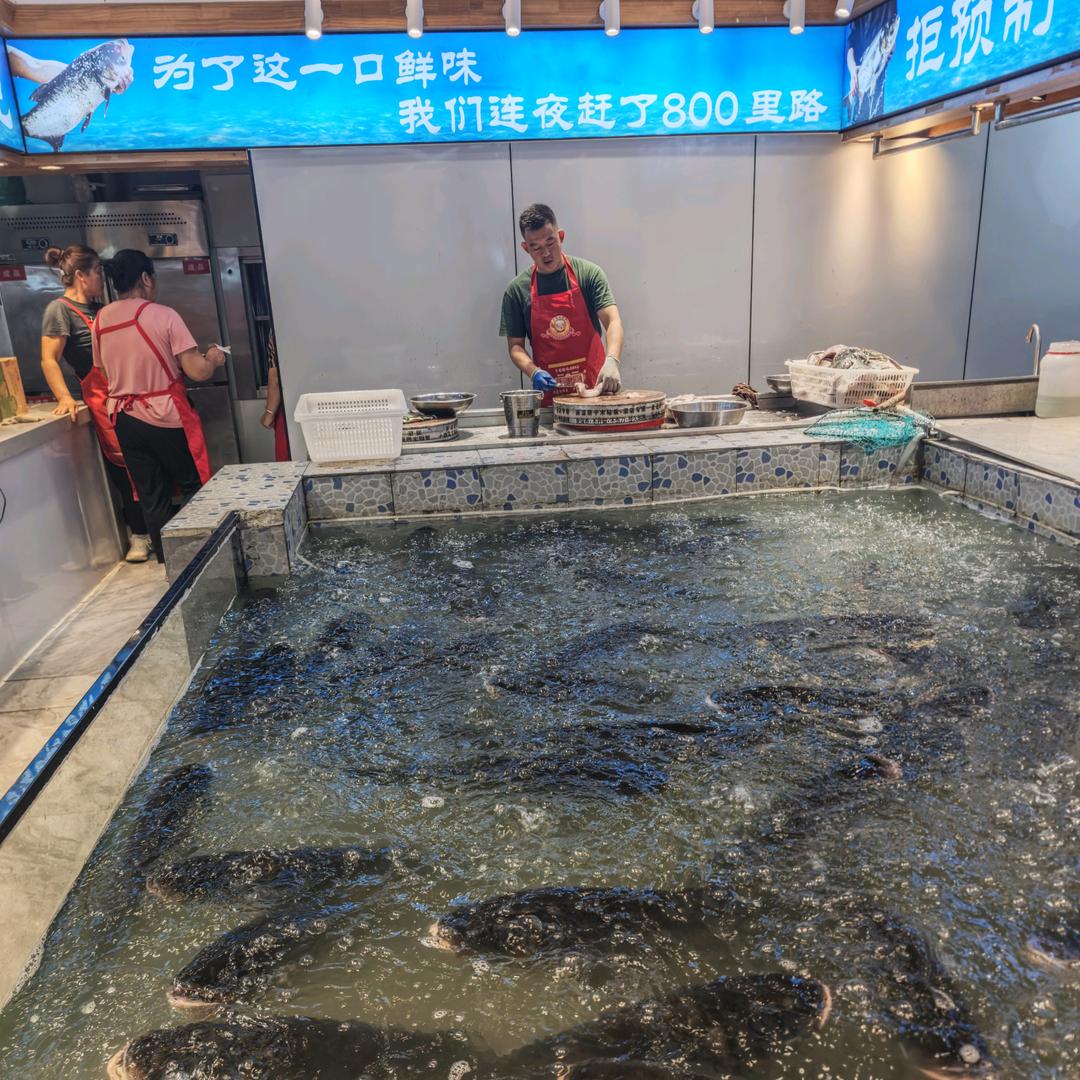 富贵大鱼·一鱼多吃