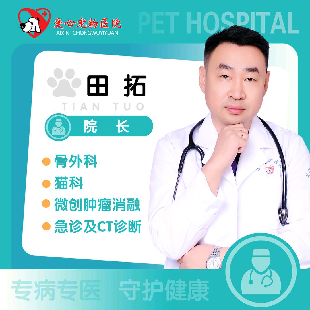衡水爱心宠物医院小动物转诊中心