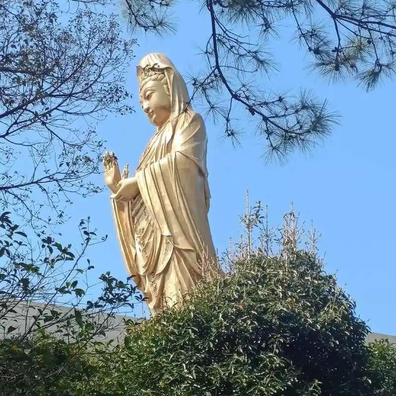 普陀山旅行（自在出行）
