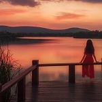 澄熏彰巴塔直播号