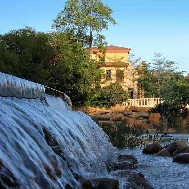 波西吃喝玩乐go