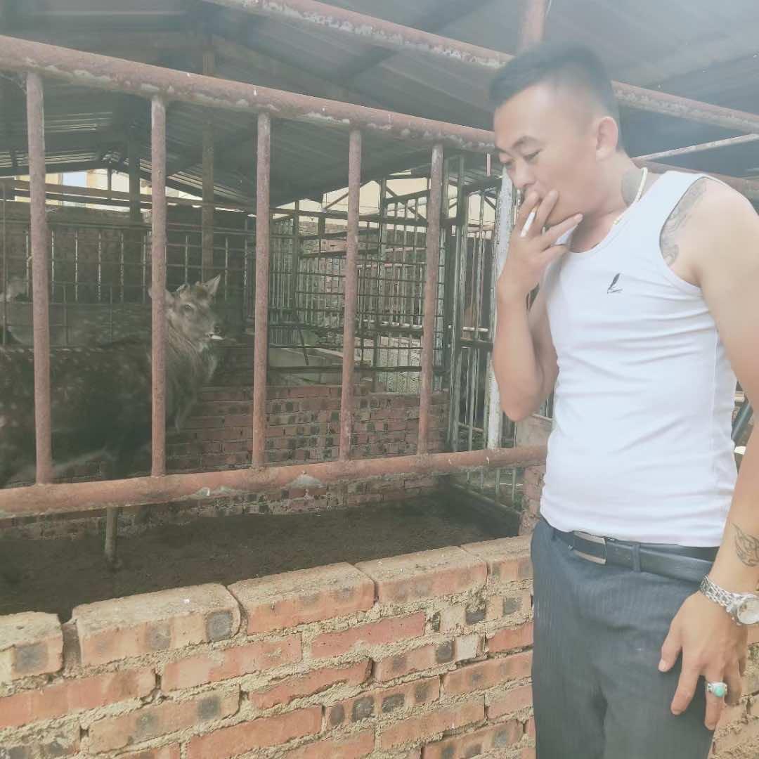 会泽县，文鹿庄缘，生态鹿肉山庄！