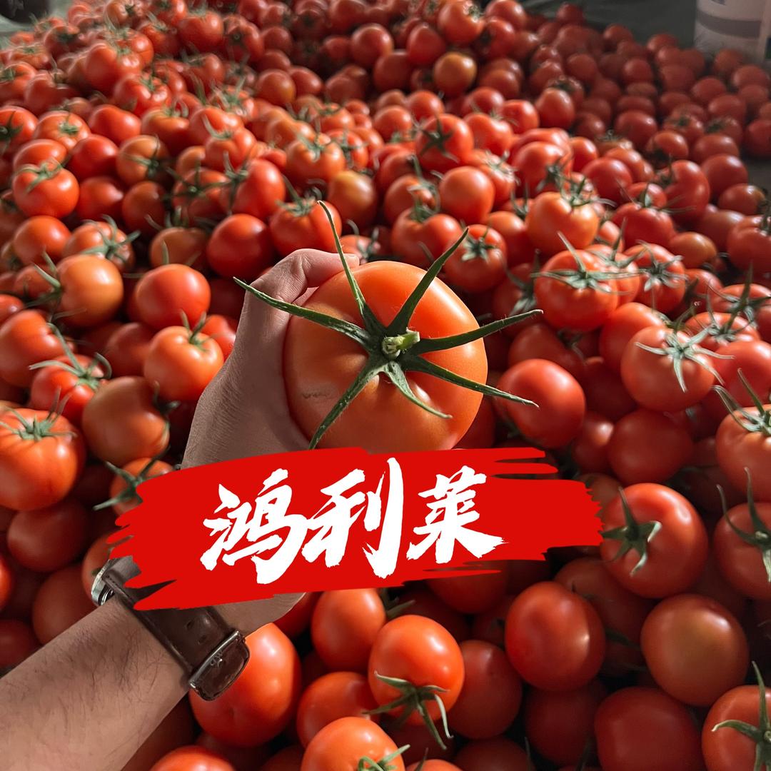 寿光美人肩农业有限公司—鸿利莱总代理