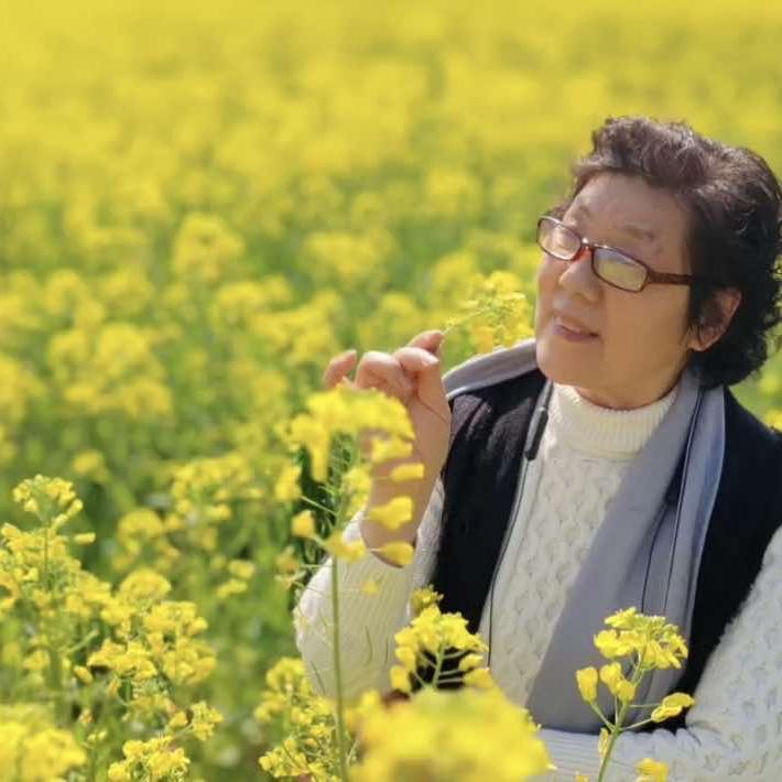 秋天的花