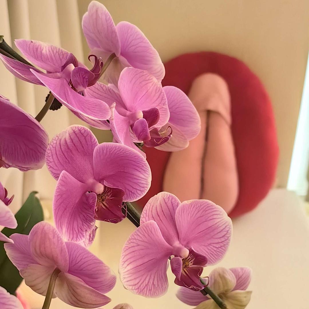 FAIRY·觅时光美容spa官方号