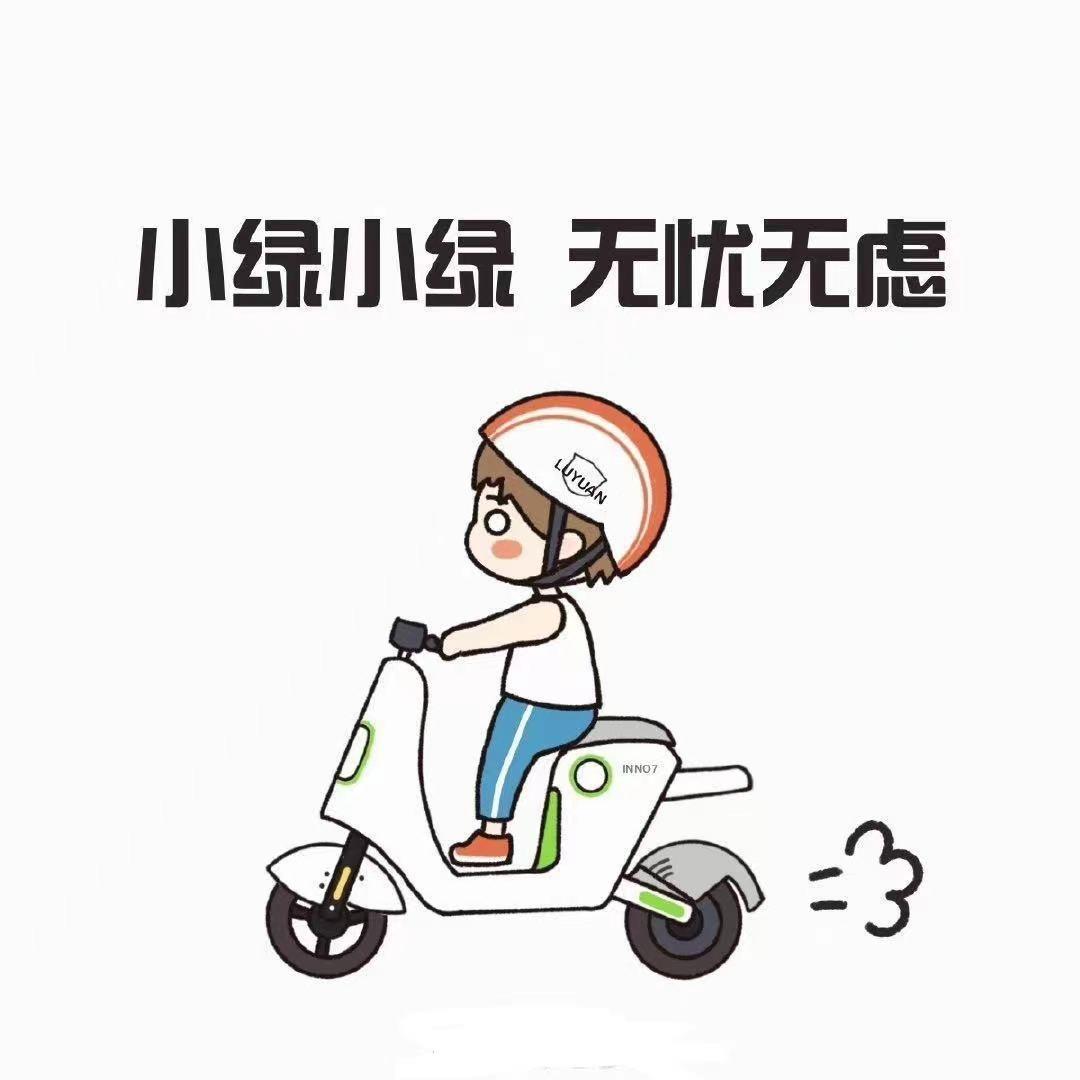 沂水绿源电动车王花花
