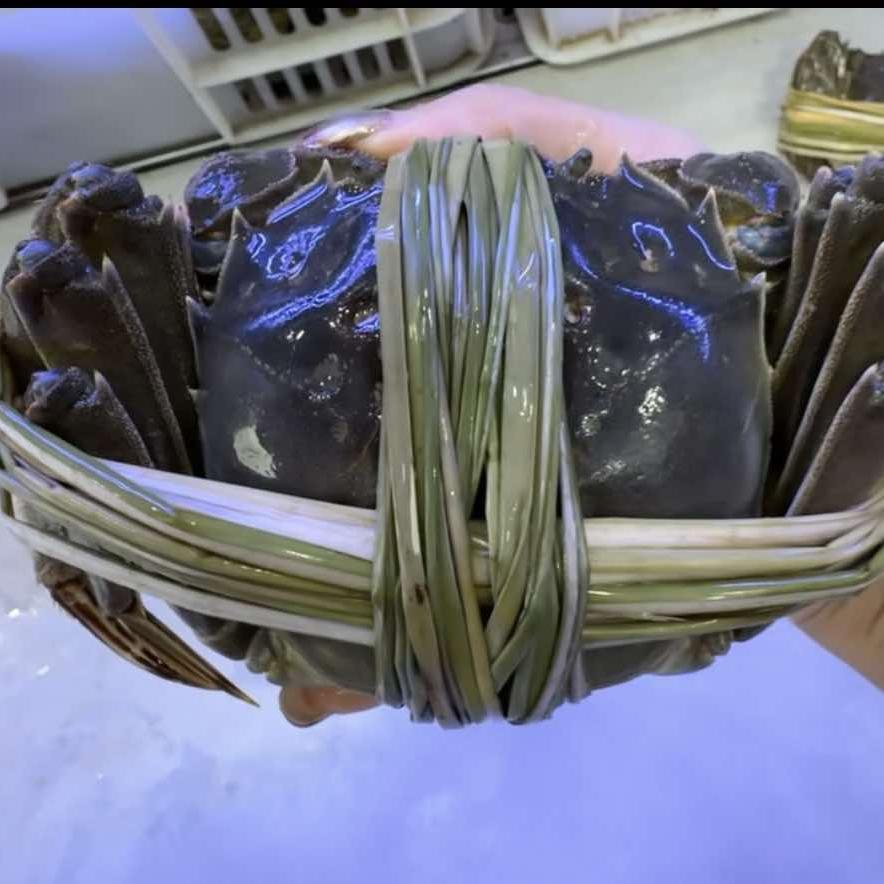 万通·蟹蟹你龙虾大闸蟹官方号