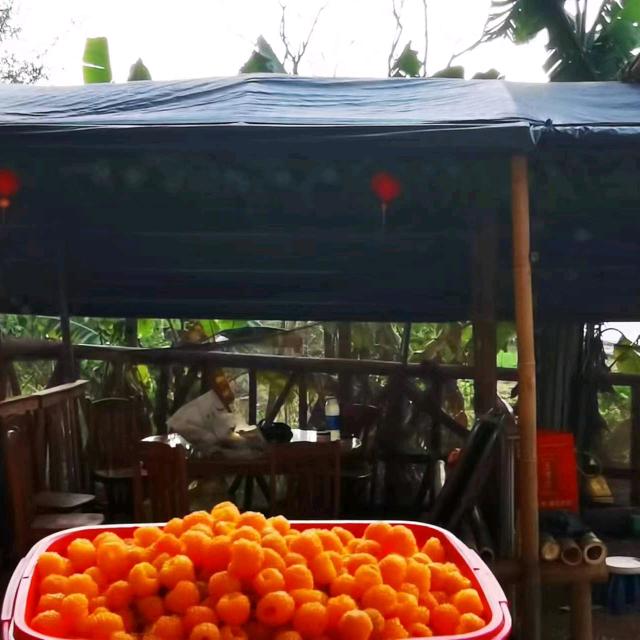 思茅区恩丽无刺黄袍果采摘园
