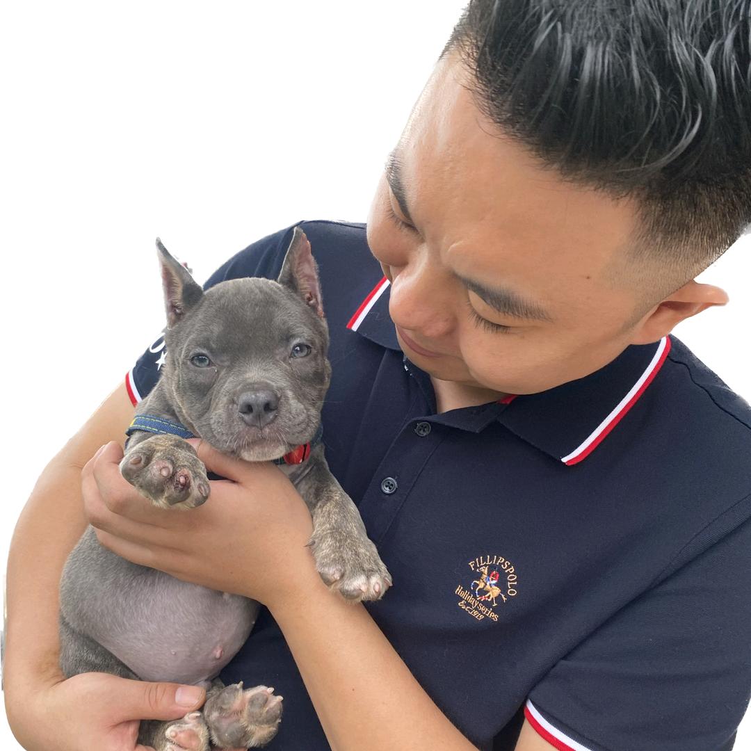 瑞道美缝剂厂家—啊季