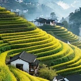 君驷青旅国际旅行社