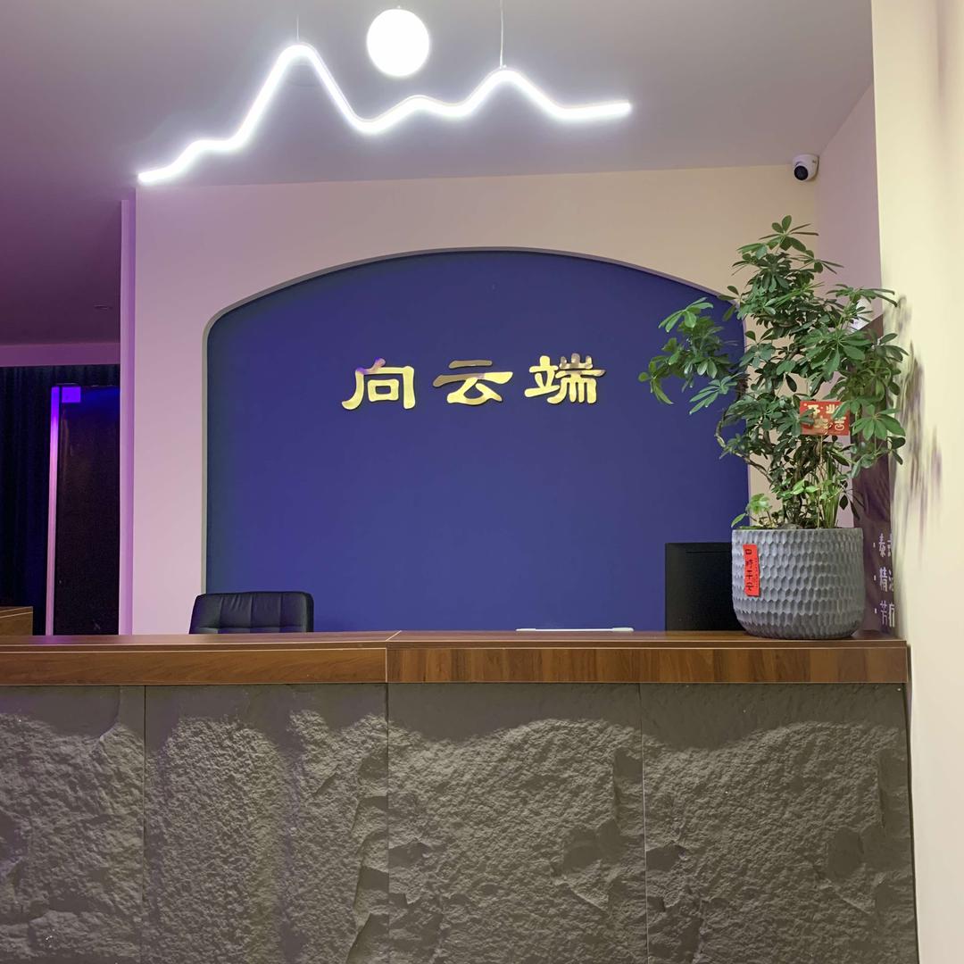 向云端养生