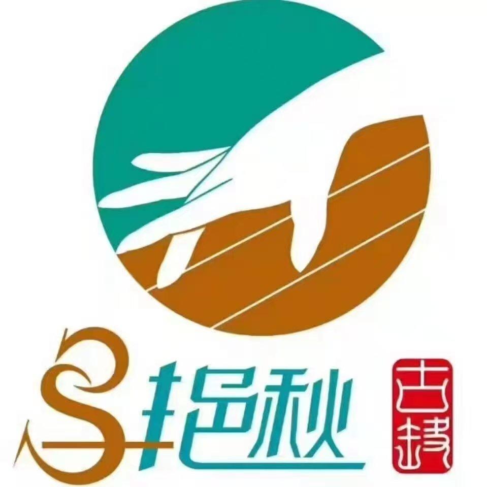 西峡马艳秋古筝