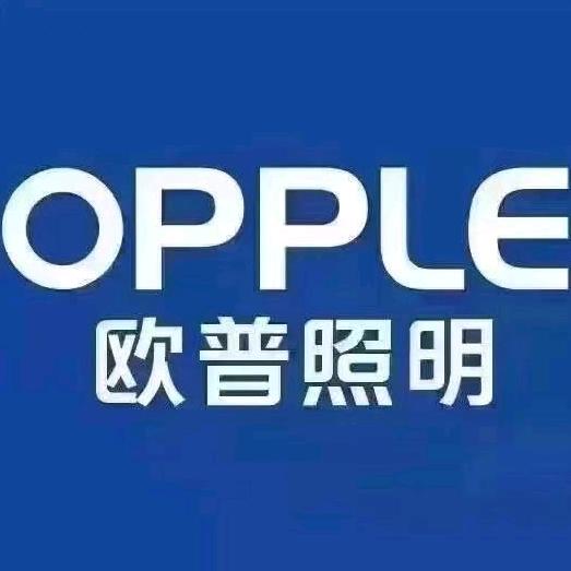 欧普照明(邳州官方旗舰店)