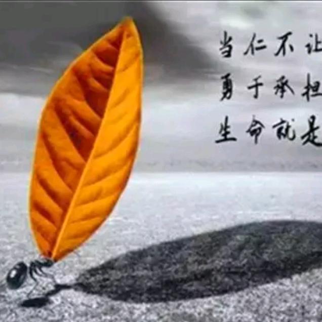 大连老曹车灯