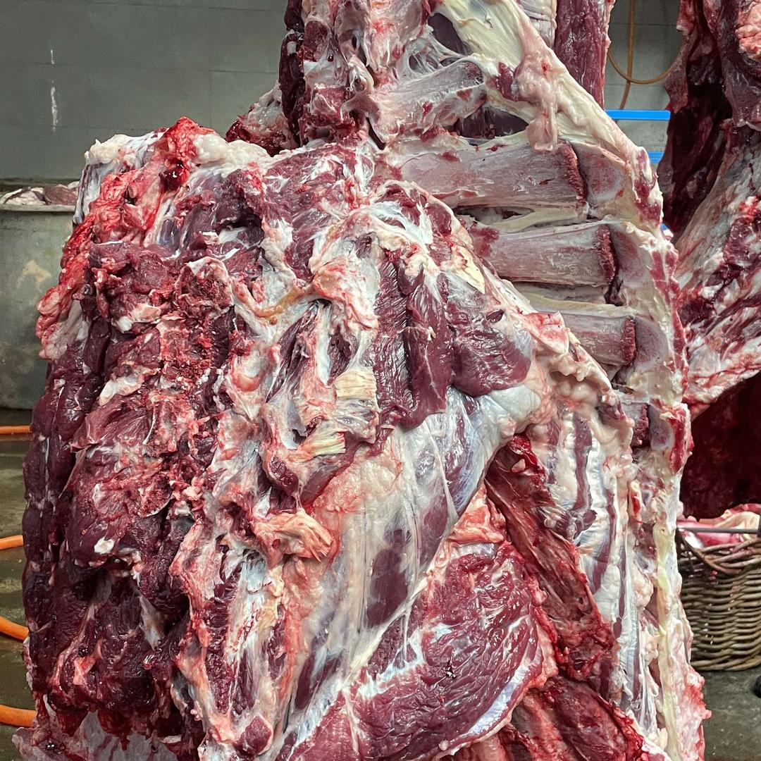 天天吃牛肉