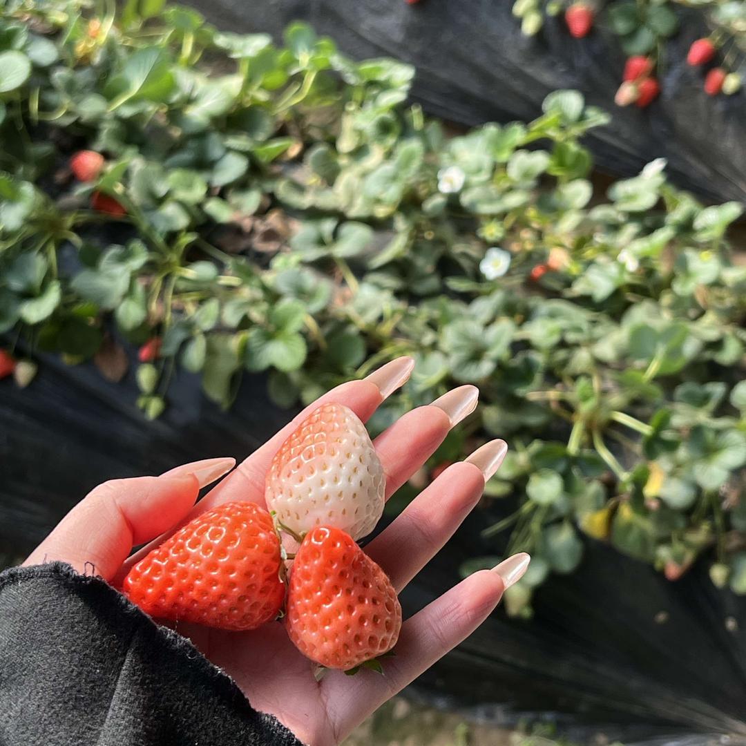 觅贞宠粉日常号