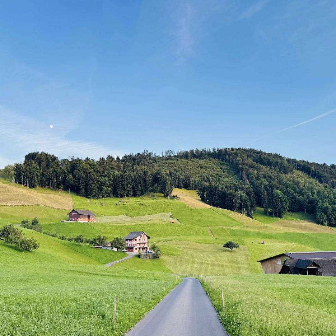 萨米特瓷砖(保定居然之家店)