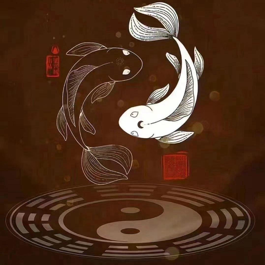 真武三良直播号