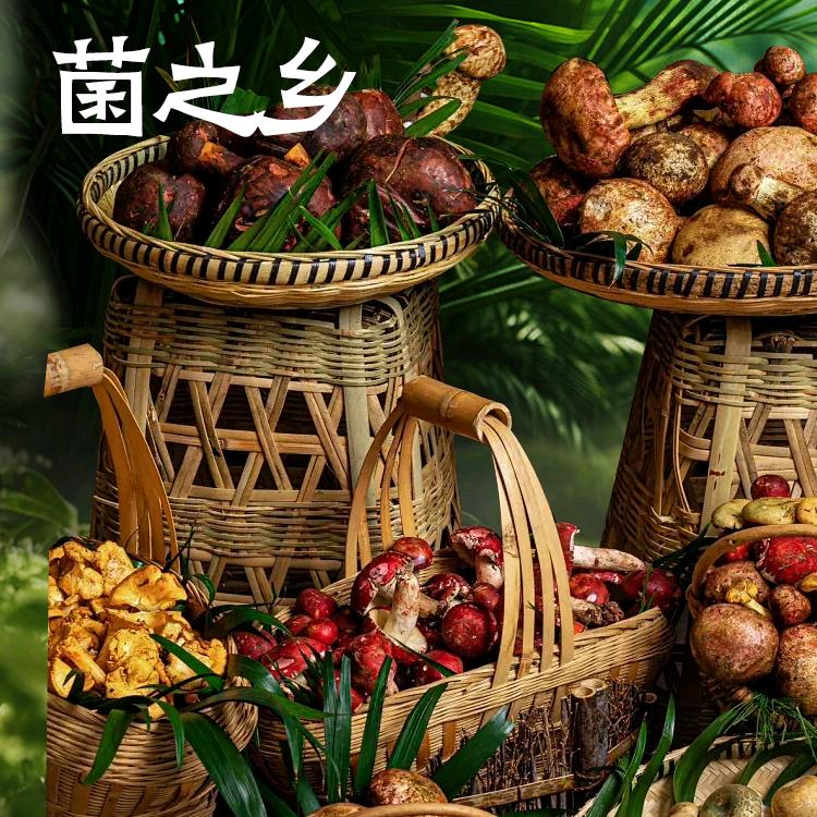 菌之乡·野生菌火锅(南悦城店)官方号
