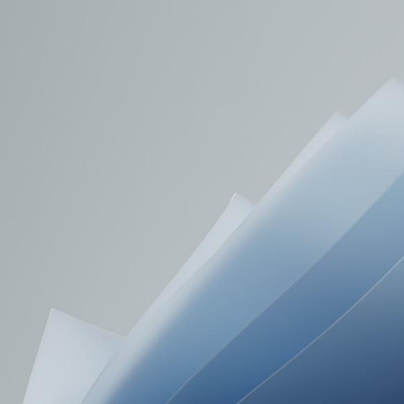 南星百货经营部(三阳小区店)没有闪直播号