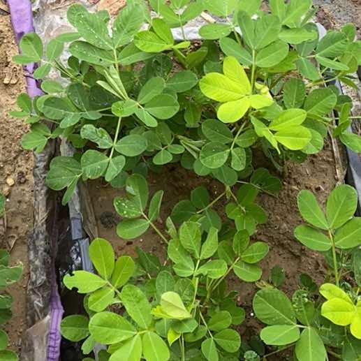 珺恒小圆百货号