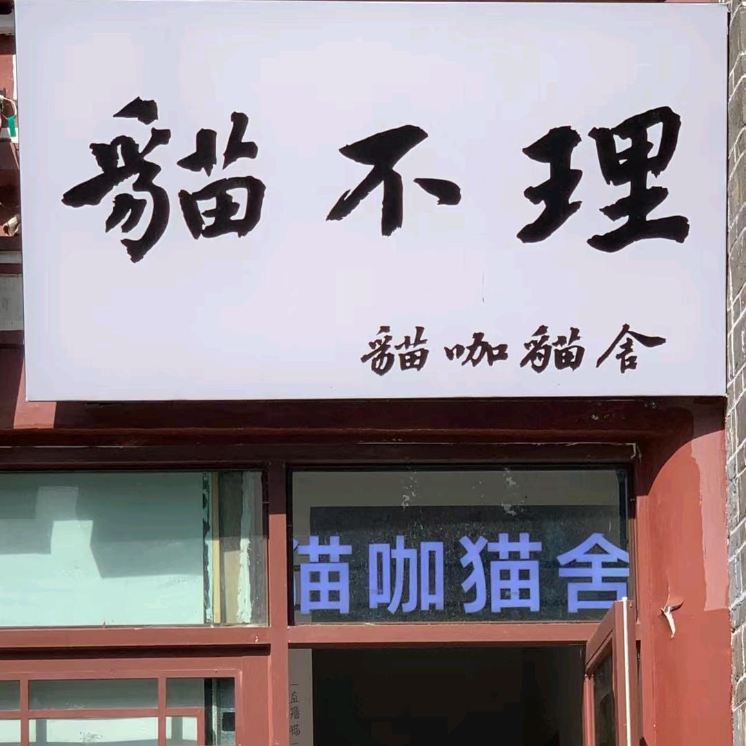 猫不理猫咖官方号