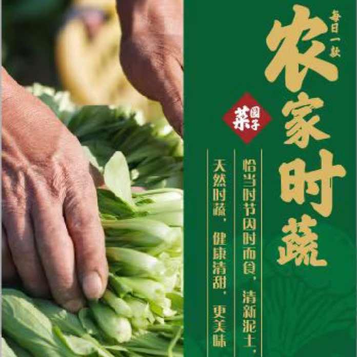味派·菜园子郓城店