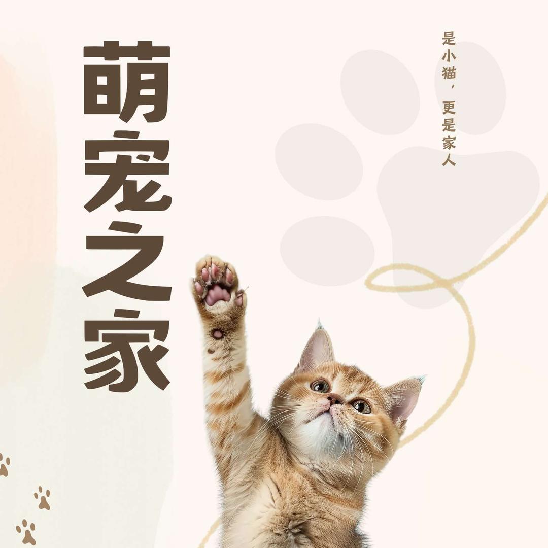 萌宠之家