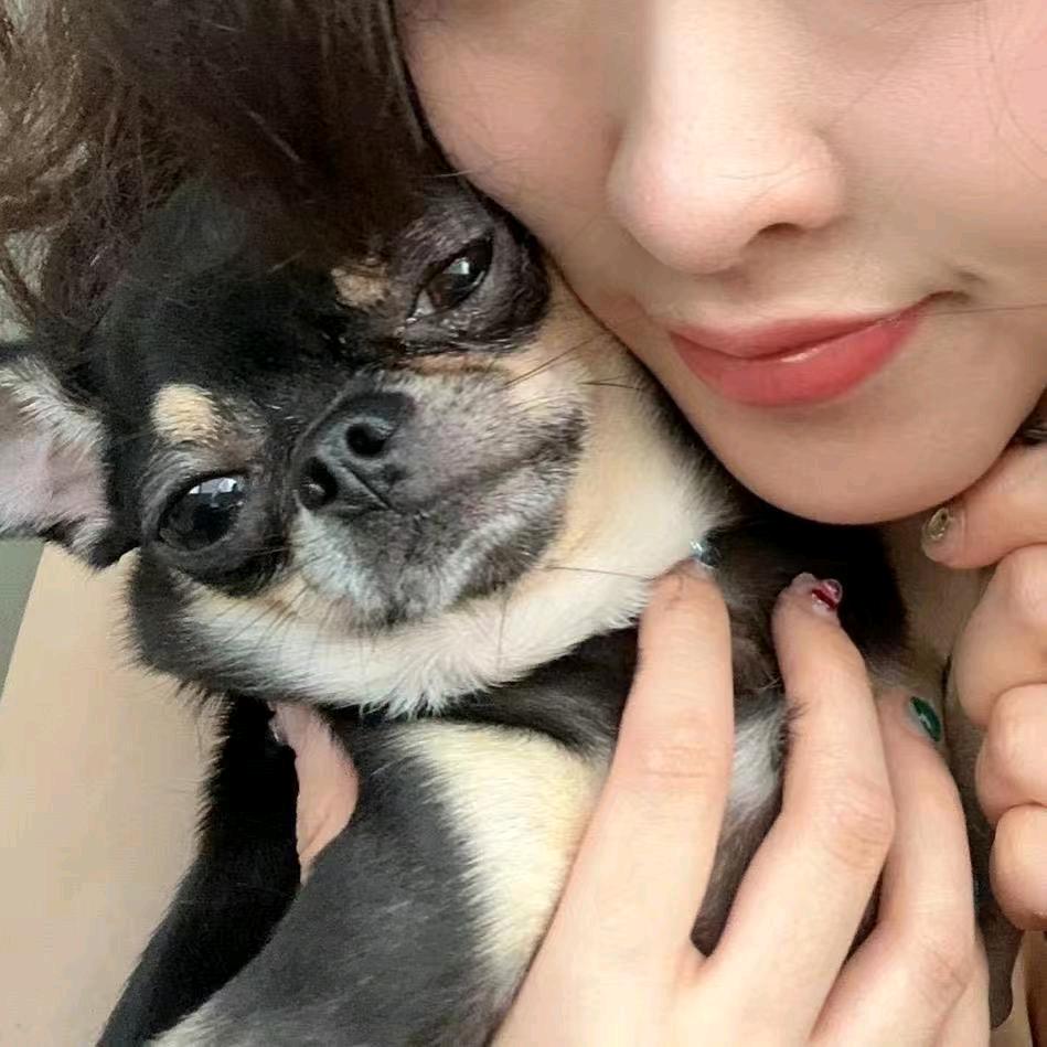 知柚美学官方号